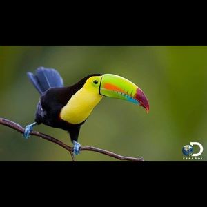 Meet your Posher, Genaro